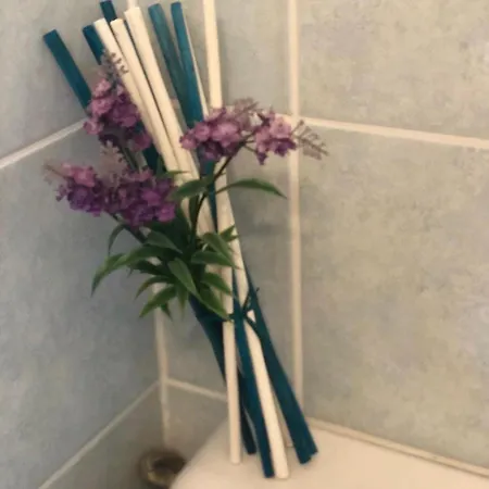 Romantic Apartman Umag
